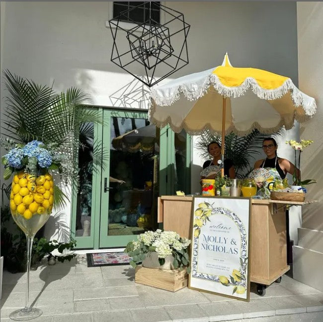 Collapsible Charcuterie Food Cart #0107